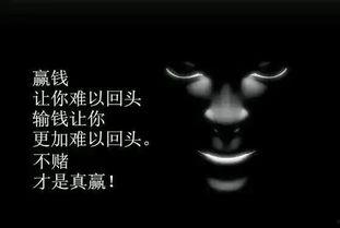 输光了图片,揭秘人生低谷的瞬间