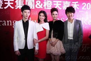 成天娱乐公司,引领娱乐潮流的璀璨明珠