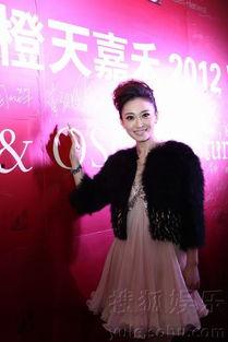 成天娱乐公司,引领娱乐潮流的璀璨明珠