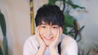 娱乐圈新人排行榜,新星闪耀,未来可期