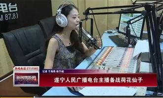 电台女主播 番号,番号背后的故事与魅力