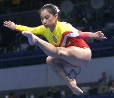 跳水运动员资料,揭秘我国跳水运动员的辉煌历程