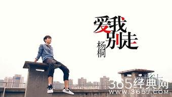 变形计所有背景音乐,旋律中的成长轨迹