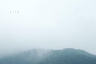 关注雨的背景音乐,旋律悠扬——关注雨的背景音乐之旅