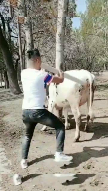 最牛搞笑跳舞视频,笑翻全场！盘点年度最牛搞笑跳舞神作